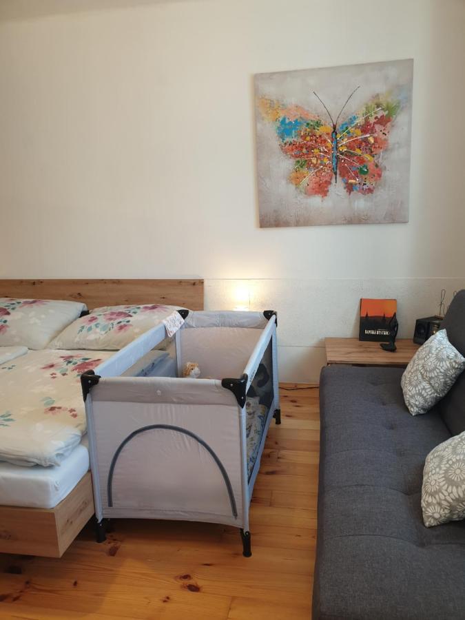 Apartman Central, Self Check In 24 H, Free Parking بانْشكا بيشتريتْسا المظهر الخارجي الصورة